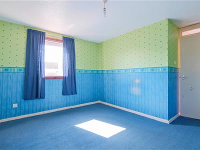 Picture 24